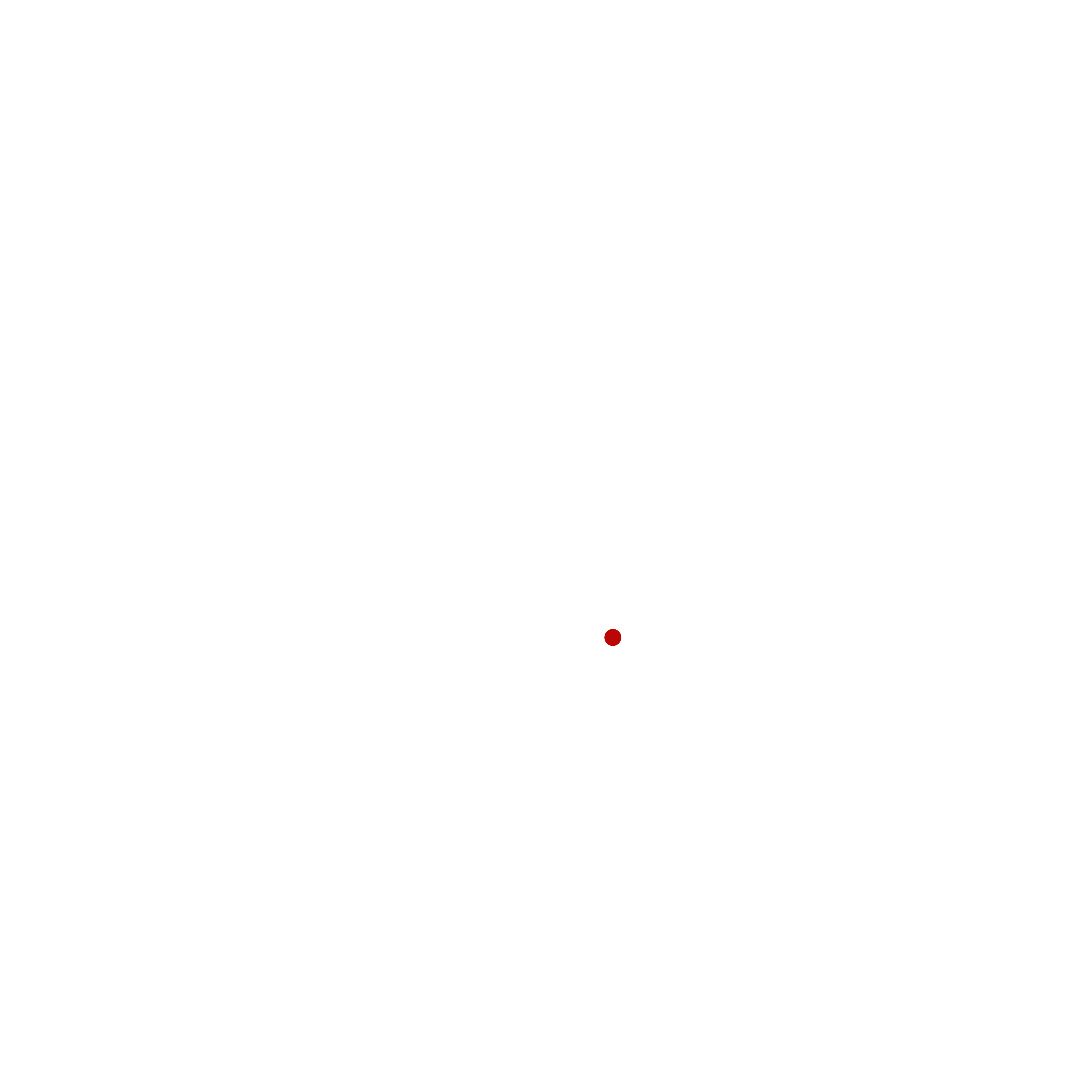BLK ALERTS